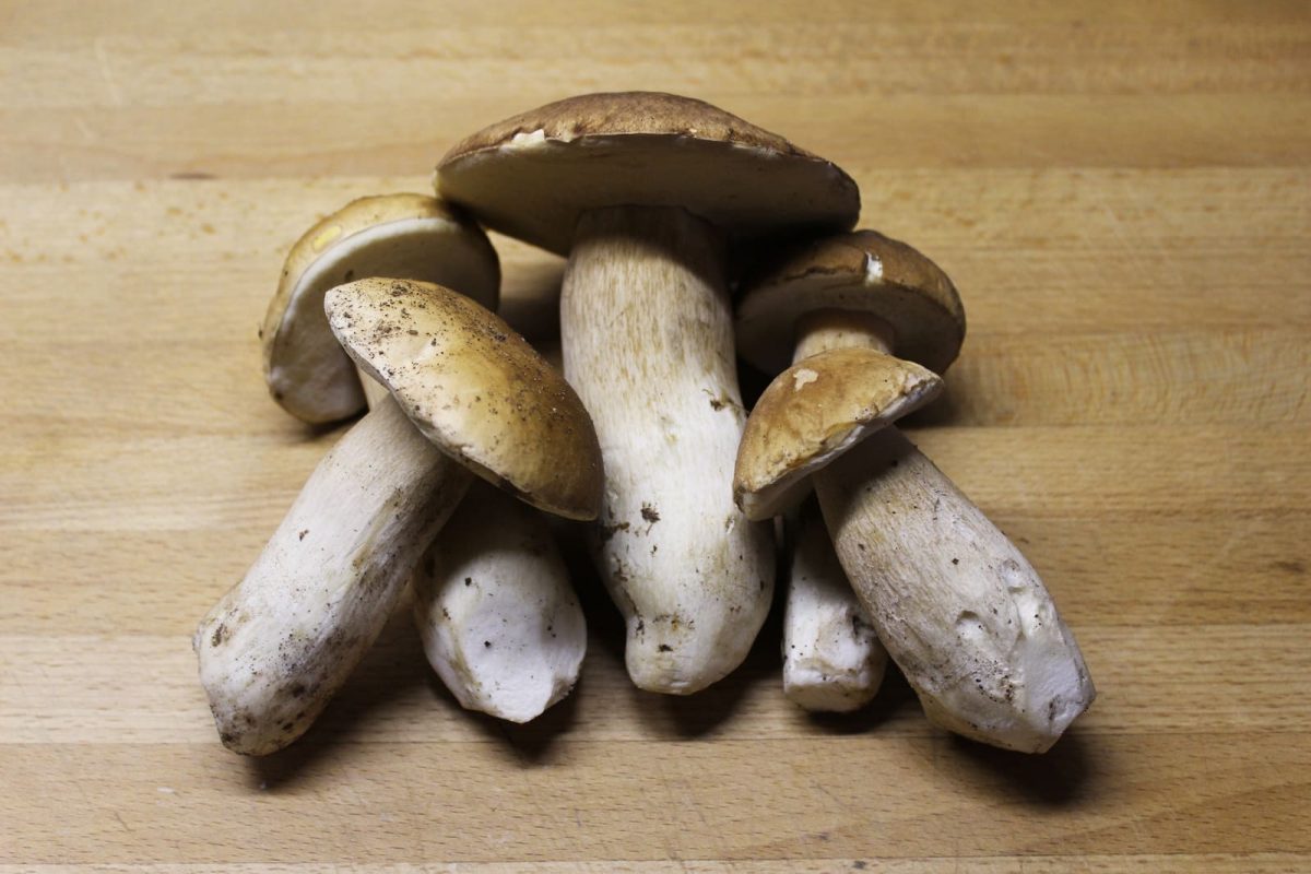 canelones de boletus y panceta paso 2