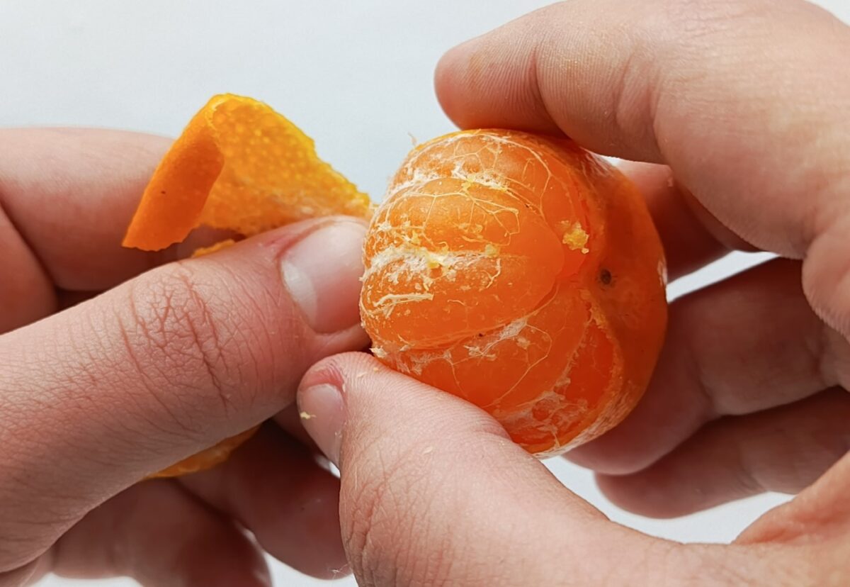 Diferencia entre la naranja, la mandarina y las clementinas