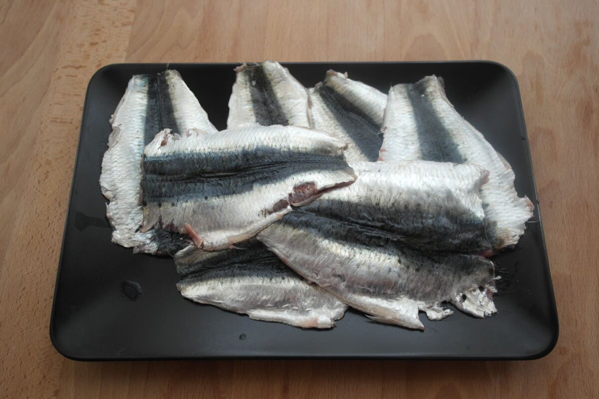 sardinas a la florentina paso 4