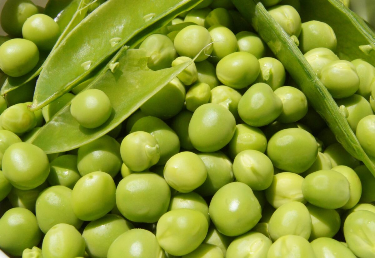 Guisantes. Propiedades, beneficios, valor nutricional y usos en la cocina