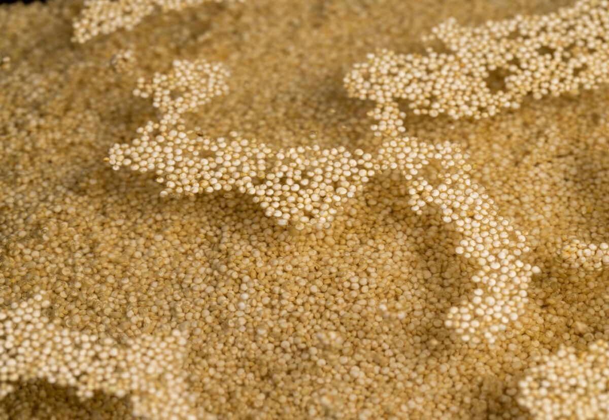 Harina de quinoa. ¿Qué es? Propiedades, beneficios y usos en la cocina