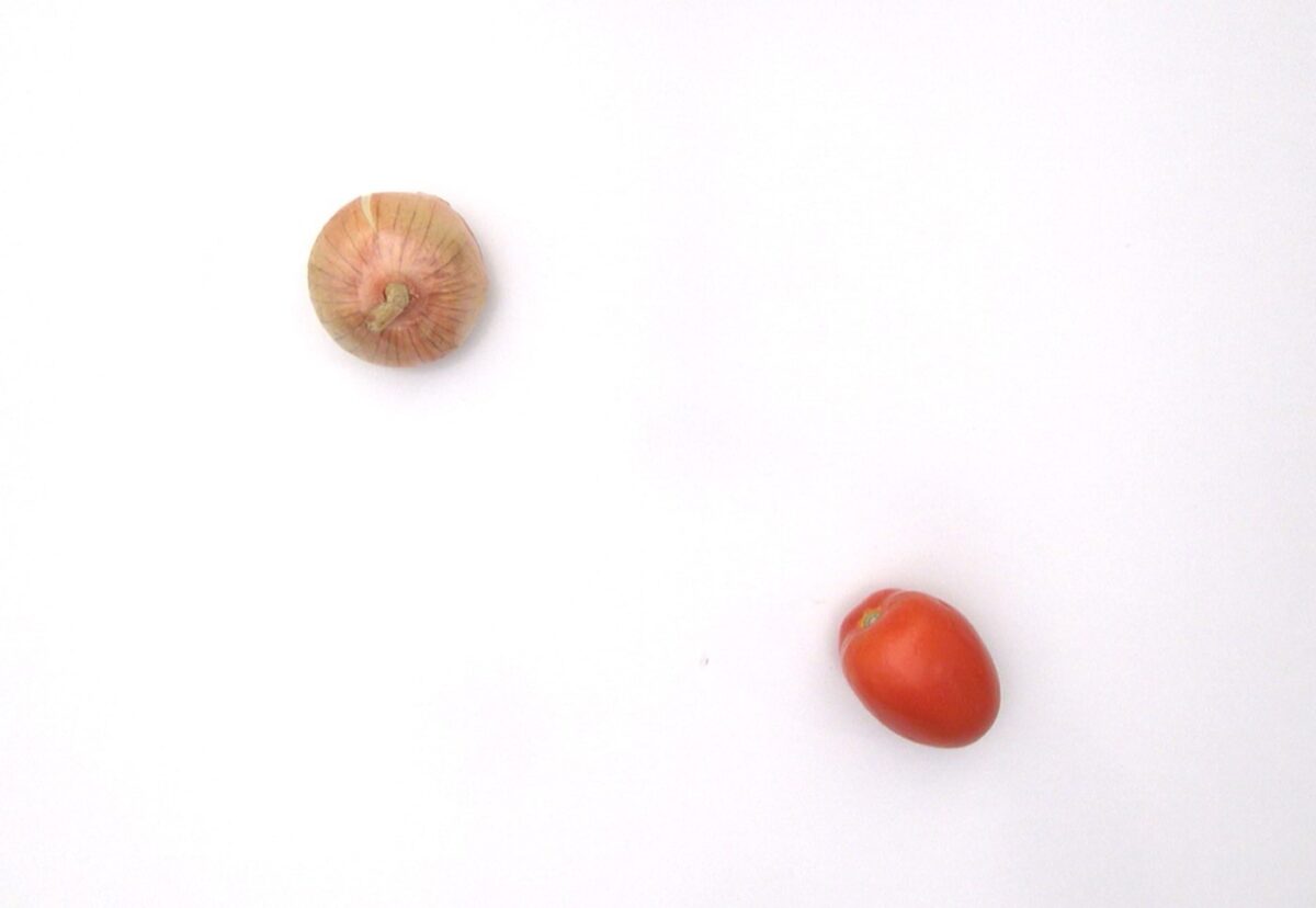 Judías verdes con tomate. Una receta casera y deliciosa