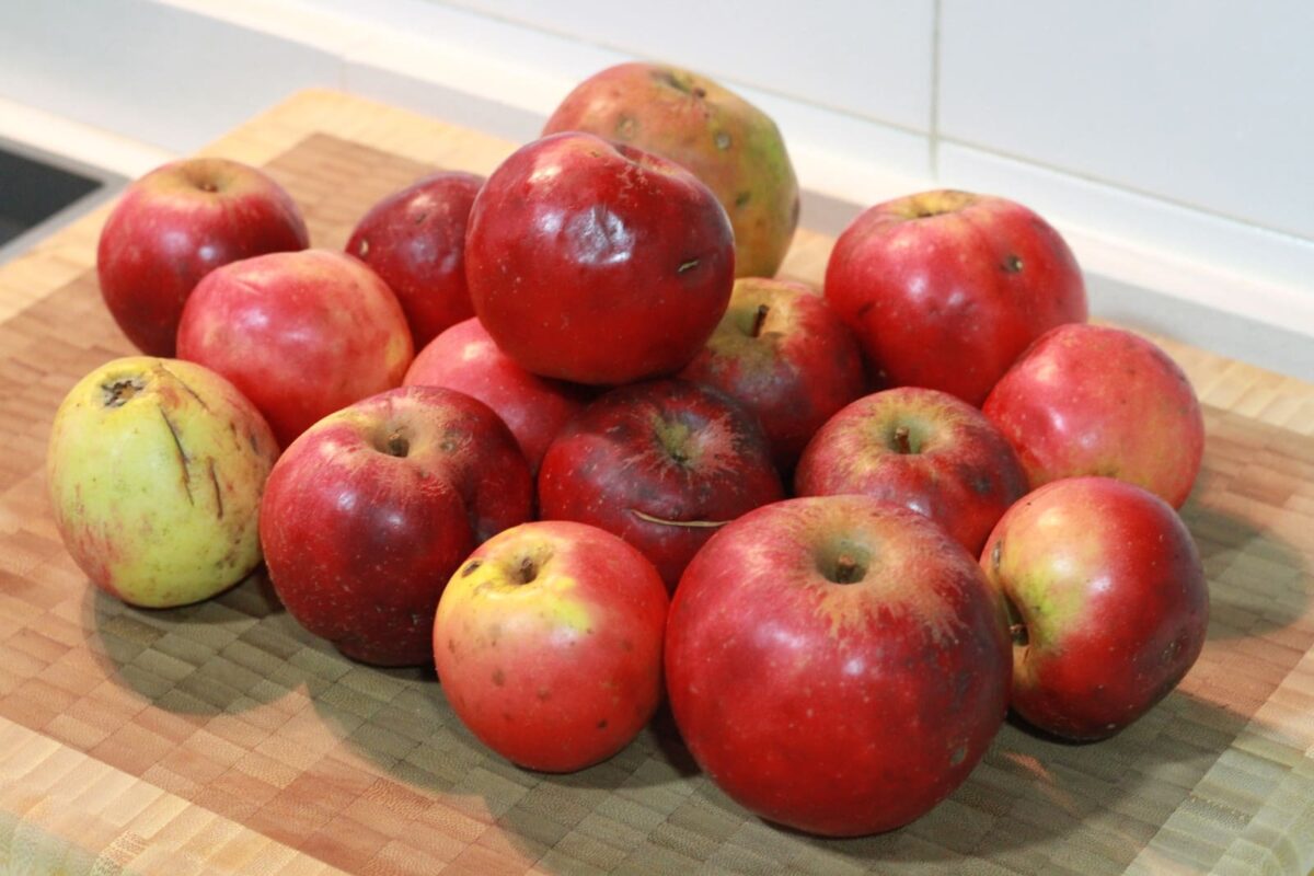 compota manzana paso 3