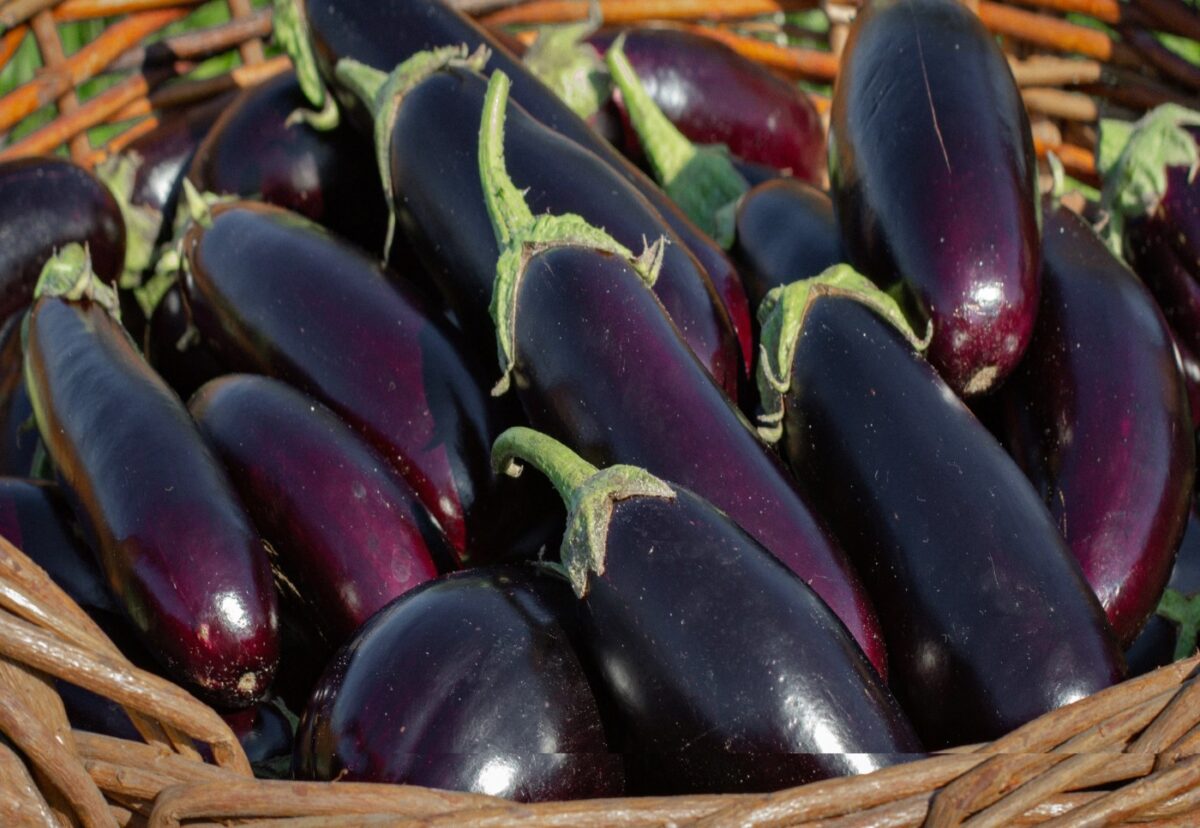 Aguacate, pepino, tomate y otros alimentos que pensabas que eran verduras
