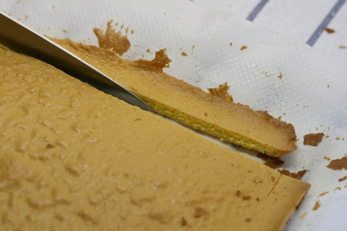 brazo de gitano paso 19