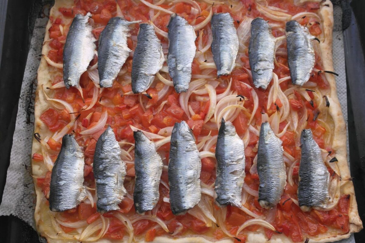 coca de sardinas paso 15