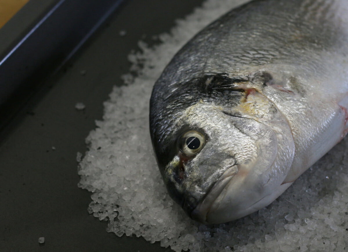 dorada a la sal y al horno paso 5