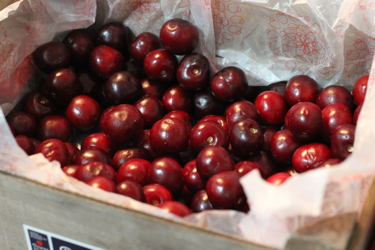 gazpacho de cerezas paso 14