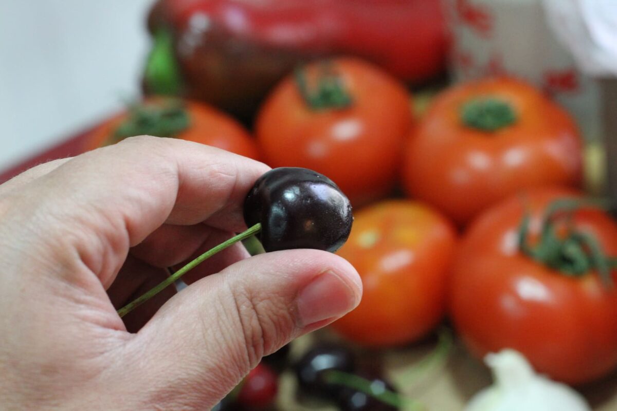 gazpacho de cerezas paso 4
