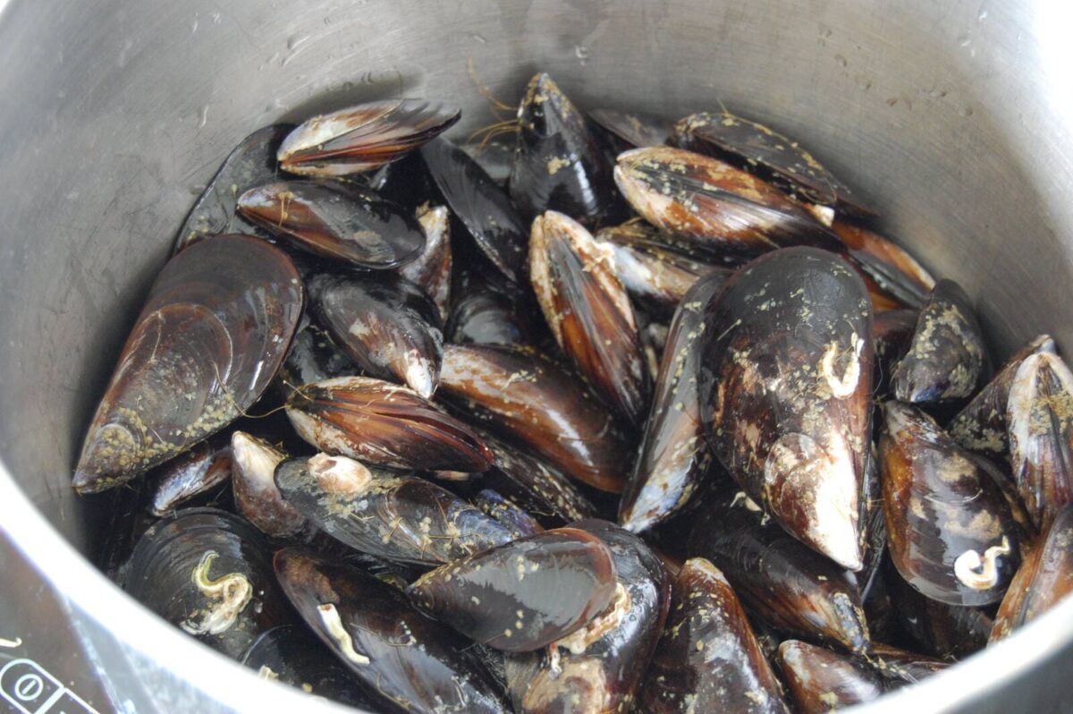 mejillones en escabeche paso 2