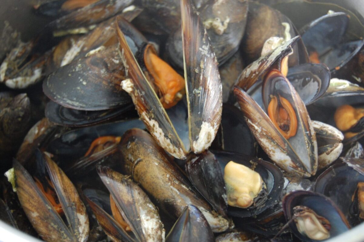 mejillones en escabeche paso 3