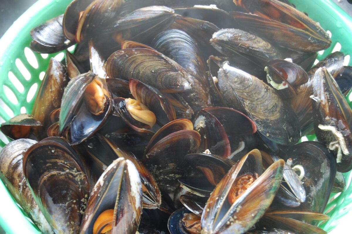 mejillones en escabeche paso 4
