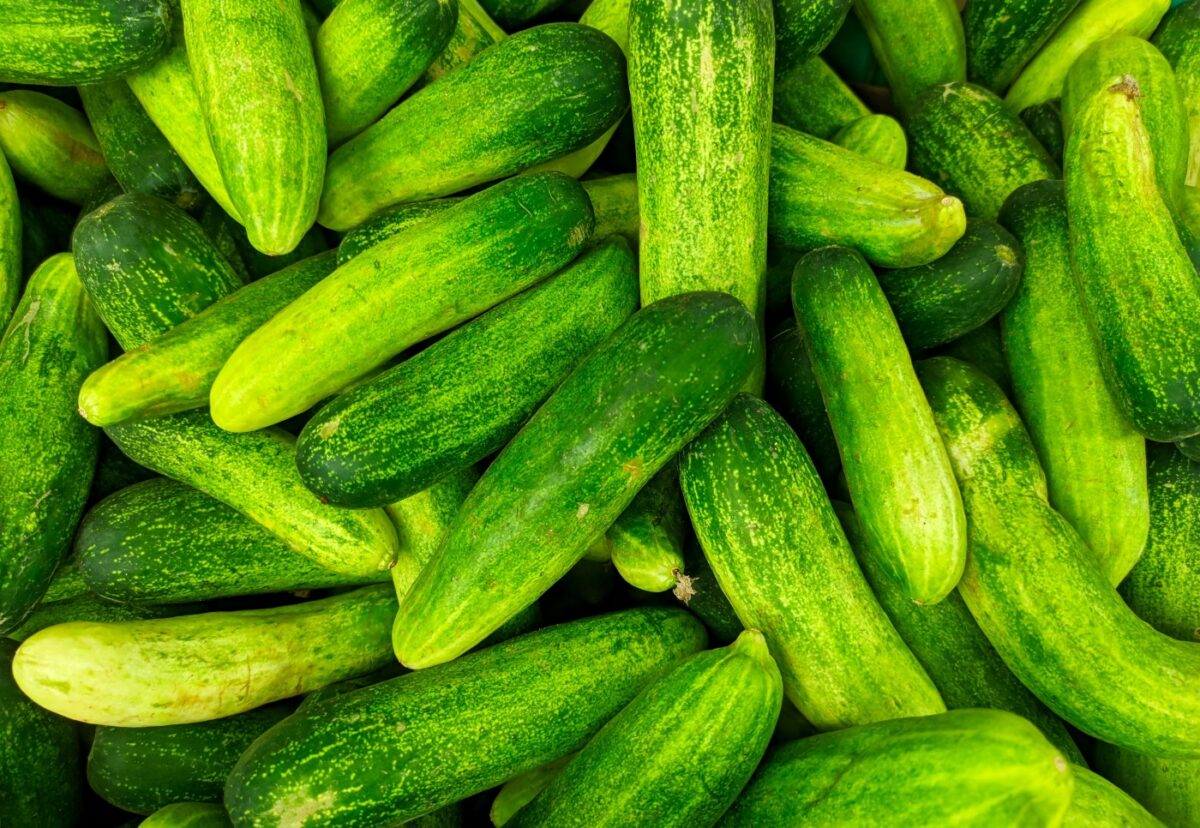 Aguacate, pepino, tomate y otros alimentos que pensabas que eran verduras
