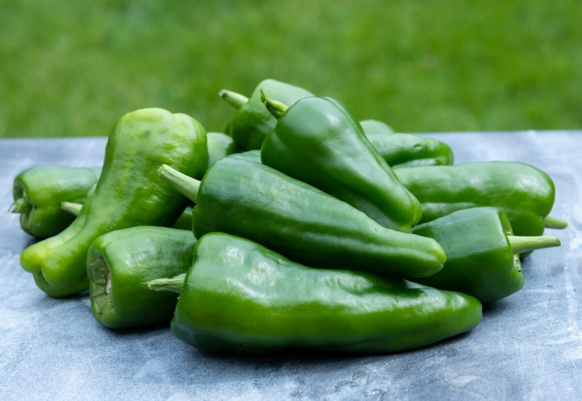 Aguacate, pepino, tomate y otros alimentos que pensabas que eran verduras