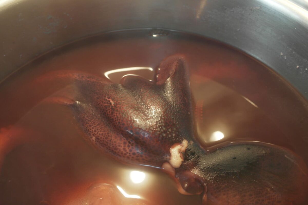 pulpo a lo sochantre paso 14