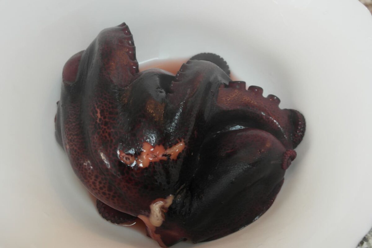 pulpo a lo sochantre paso 15