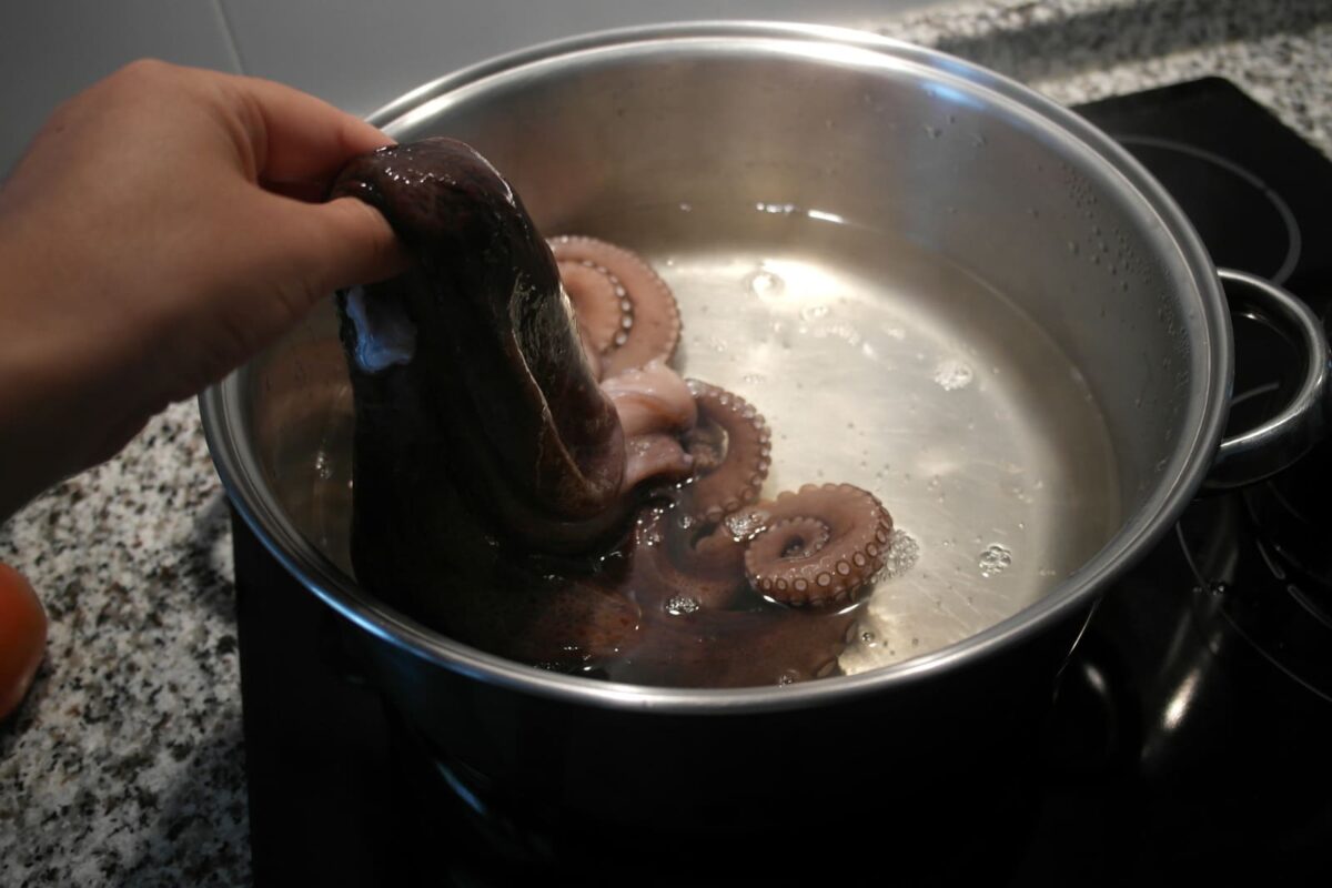 pulpo a lo sochantre paso 2