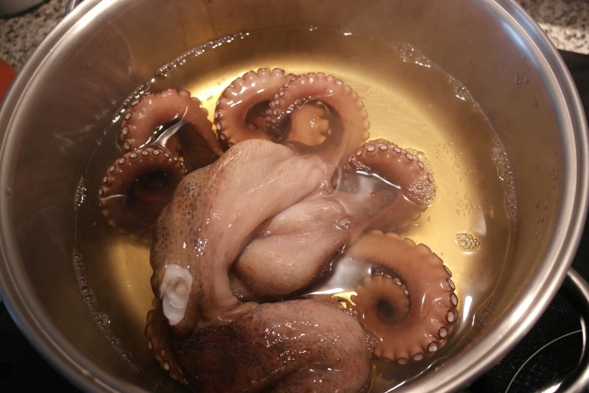 pulpo a lo sochantre paso 3