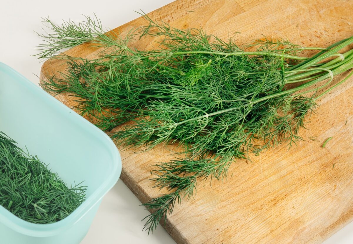 Eneldo. ¿Qué es? Propiedades y usos en la cocina