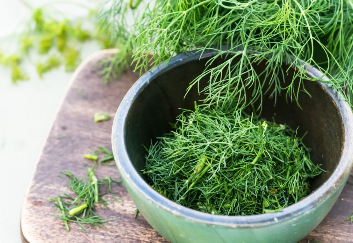 Eneldo. ¿Qué es? Propiedades y usos en la cocina