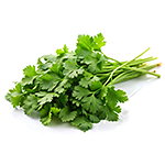 Ingredientes: Cilantro