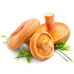 Ingredientes: Níscalos