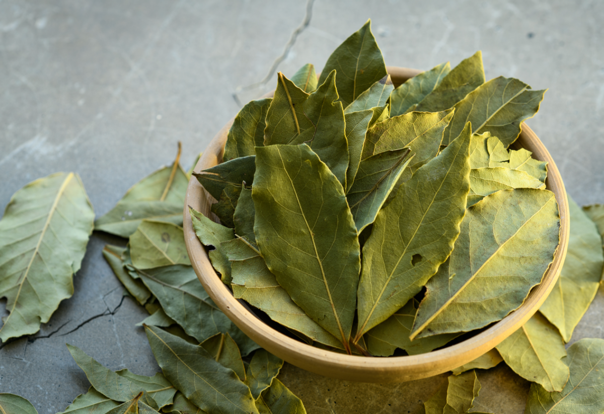 Laurel. Qué es y usos en la cocina