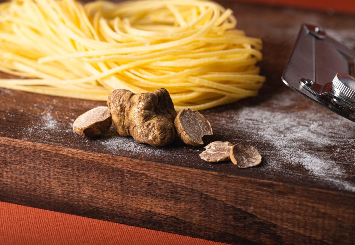 Trufa ¿Qué es? Historia, tipos y usos culinarios