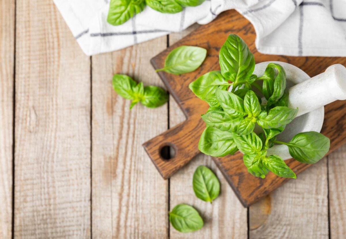 Albahaca. ¿Qué es? ¿Para qué sirve? Propiedades y beneficios