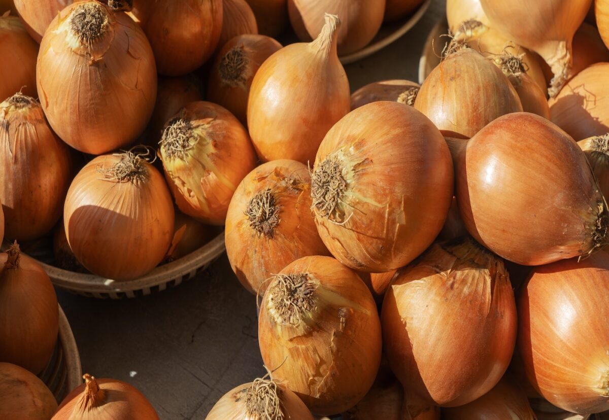 Cebolla, cebollino, cebolleta y chalota ¿son lo mismo?