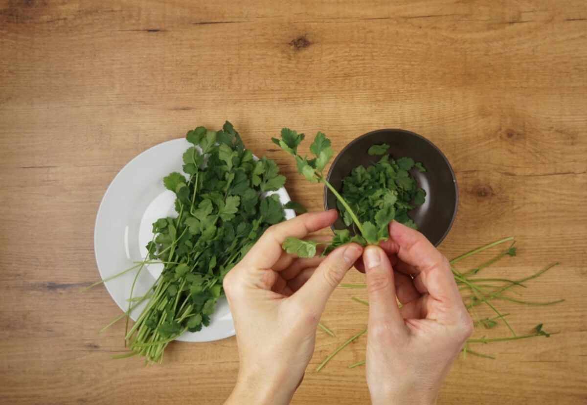 Ceviche en leche de almendras y cilantro