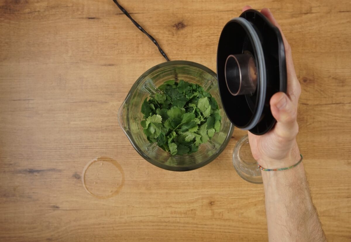 Ceviche en leche de almendras y cilantro