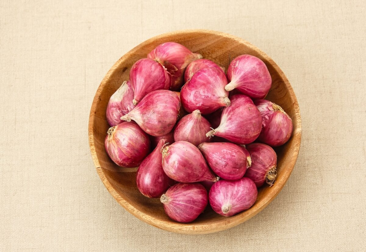 Cebolla, cebollino, cebolleta y chalota ¿son lo mismo?