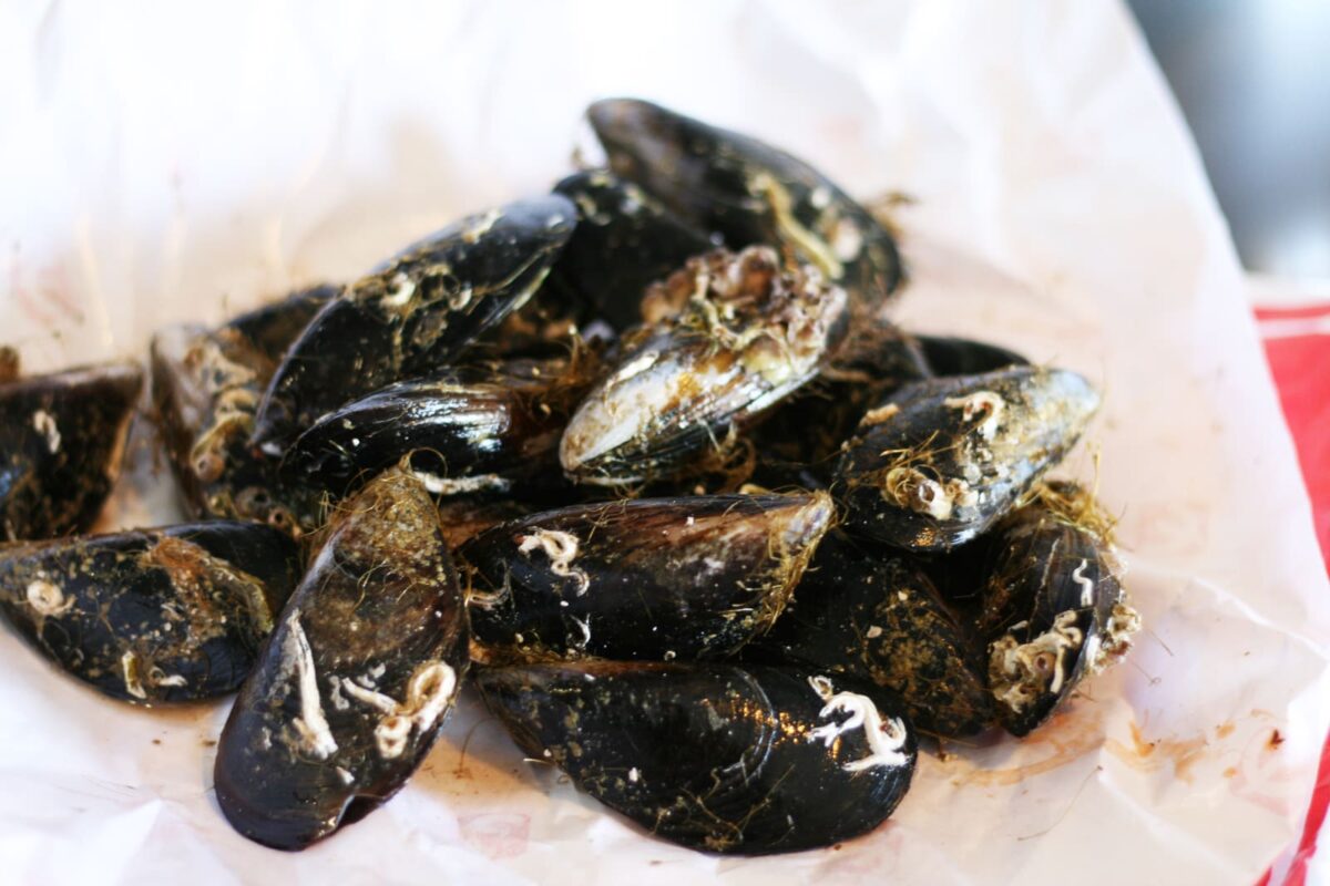 mejillones con trampó paso 1