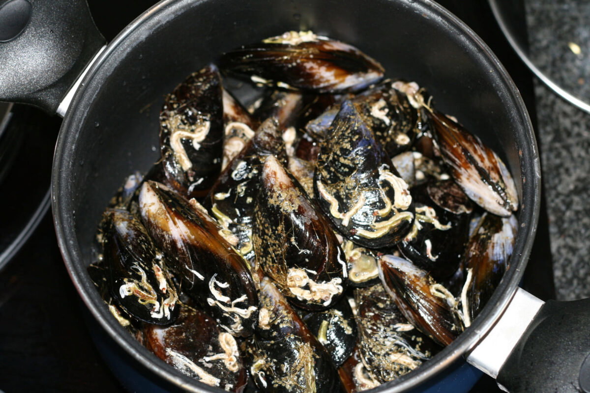 mejillones con trampó paso 2