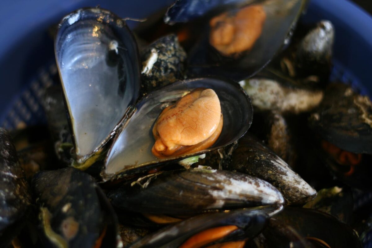 mejillones con trampó paso 3