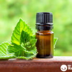 Menta. Beneficios, propiedades, tipos y cómo tomarla