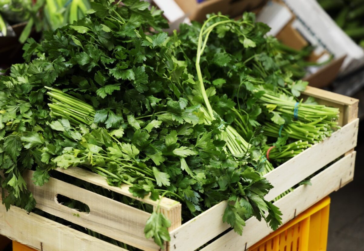 Perejil. ¿Qué es? Propiedades, beneficios y usos en la cocina
