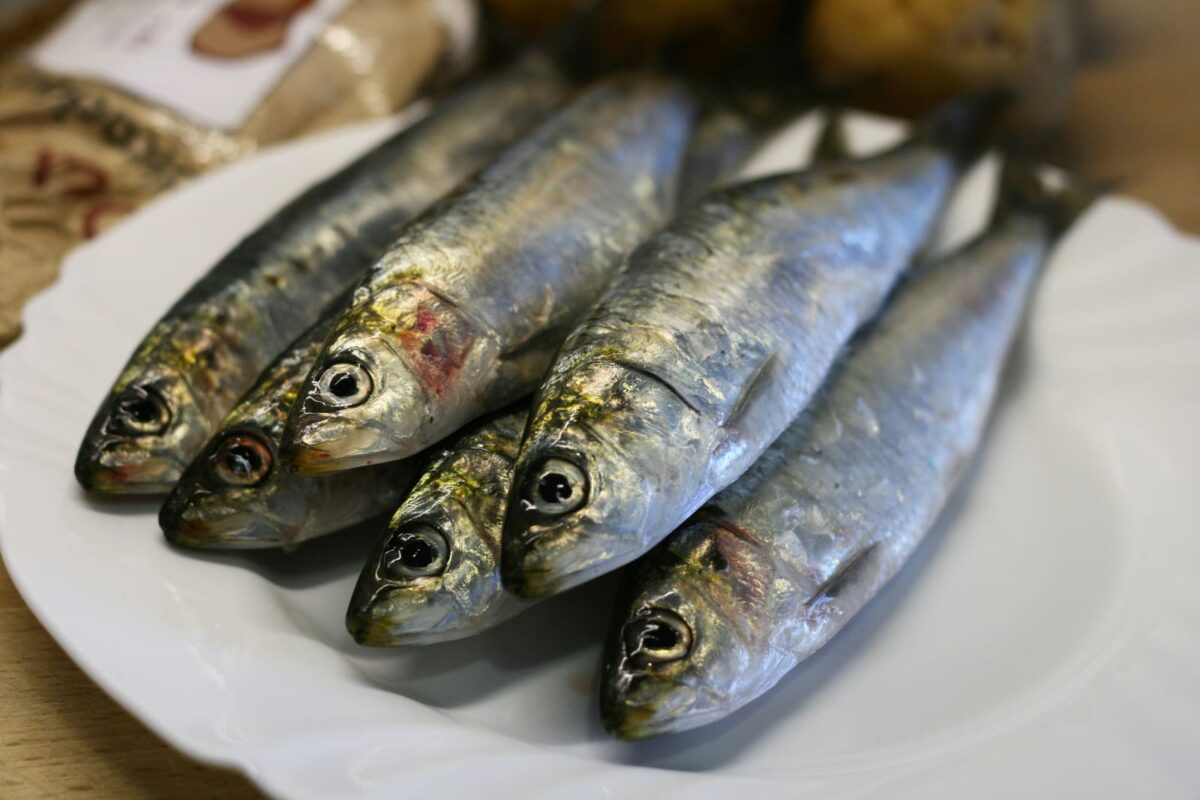 sardinas asadas paso 1