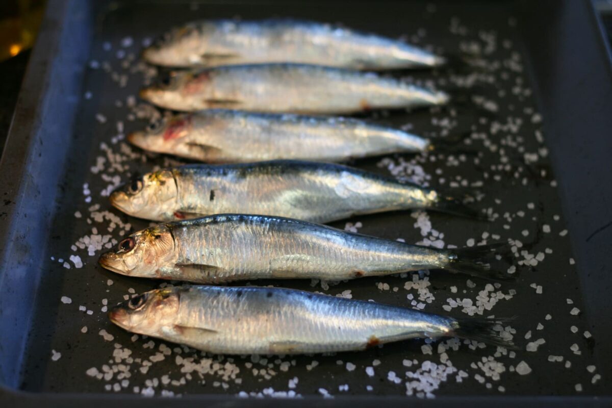 sardinas asadas paso 5