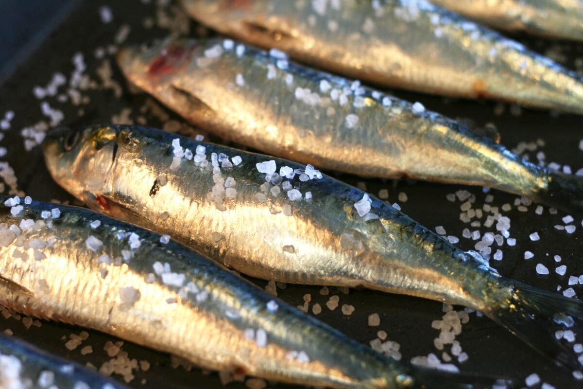 sardinas asadas paso 6