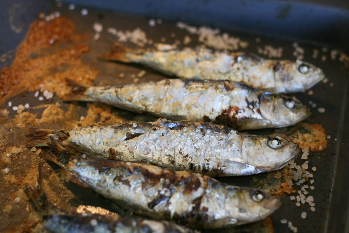 sardinas asadas paso 9