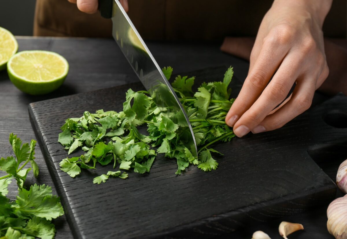 El cilantro. ¿Qué es? Beneficios, propiedades y usos en la cocina