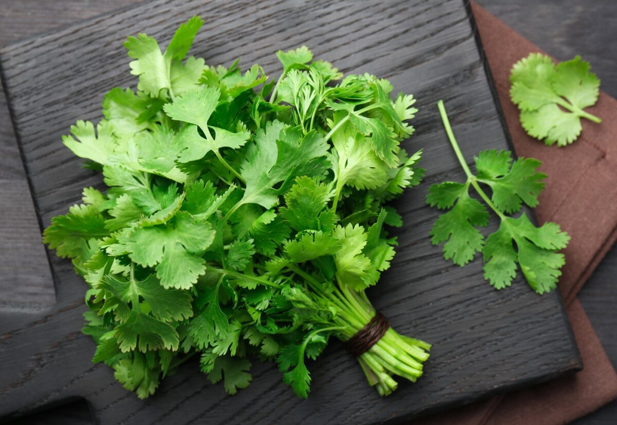 El cilantro. ¿Qué es? Beneficios, propiedades y usos en la cocina