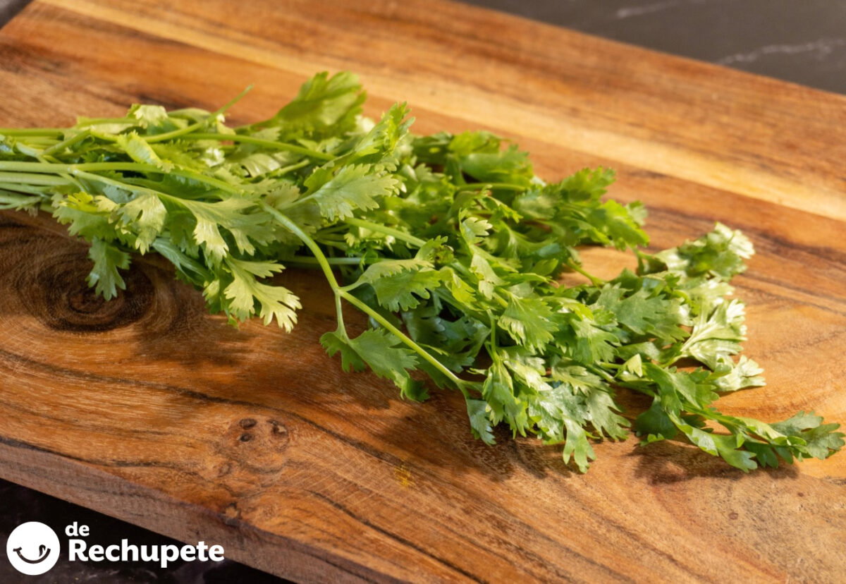 El cilantro. ¿Qué es? Beneficios, propiedades y usos en la cocina