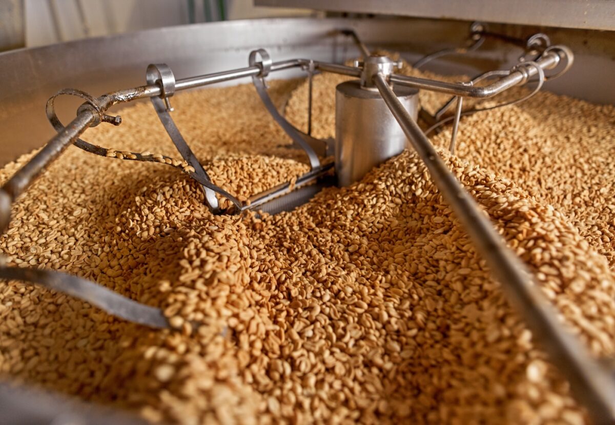 Cacahuete. ¿Qué es? Origen, propiedades y recetas