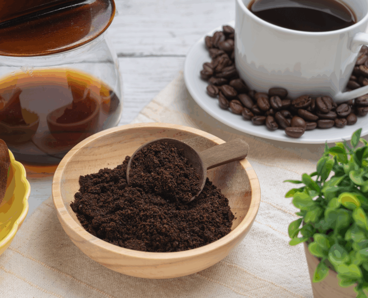 El poder del poso del café: 8 formas de reutilizarlo en casa