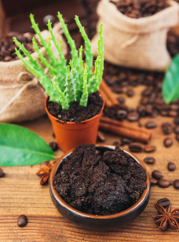 El poder del poso del café: 8 formas de reutilizarlo en casa