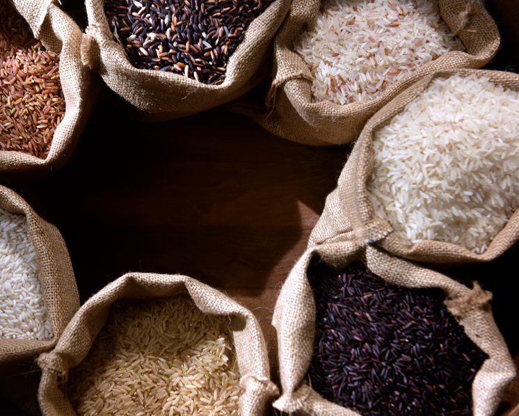 Diferencias entre el arroz blanco largo, el arroz vaporizado y el arroz basmati