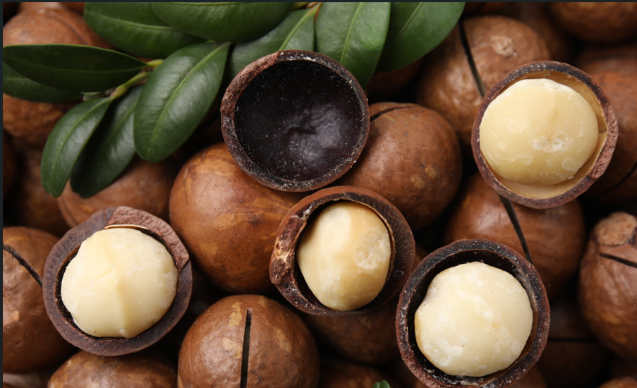 Nueces de macadamia: ¿Qué son? Tipos, beneficios y consejos para aprovecharlas al máximo